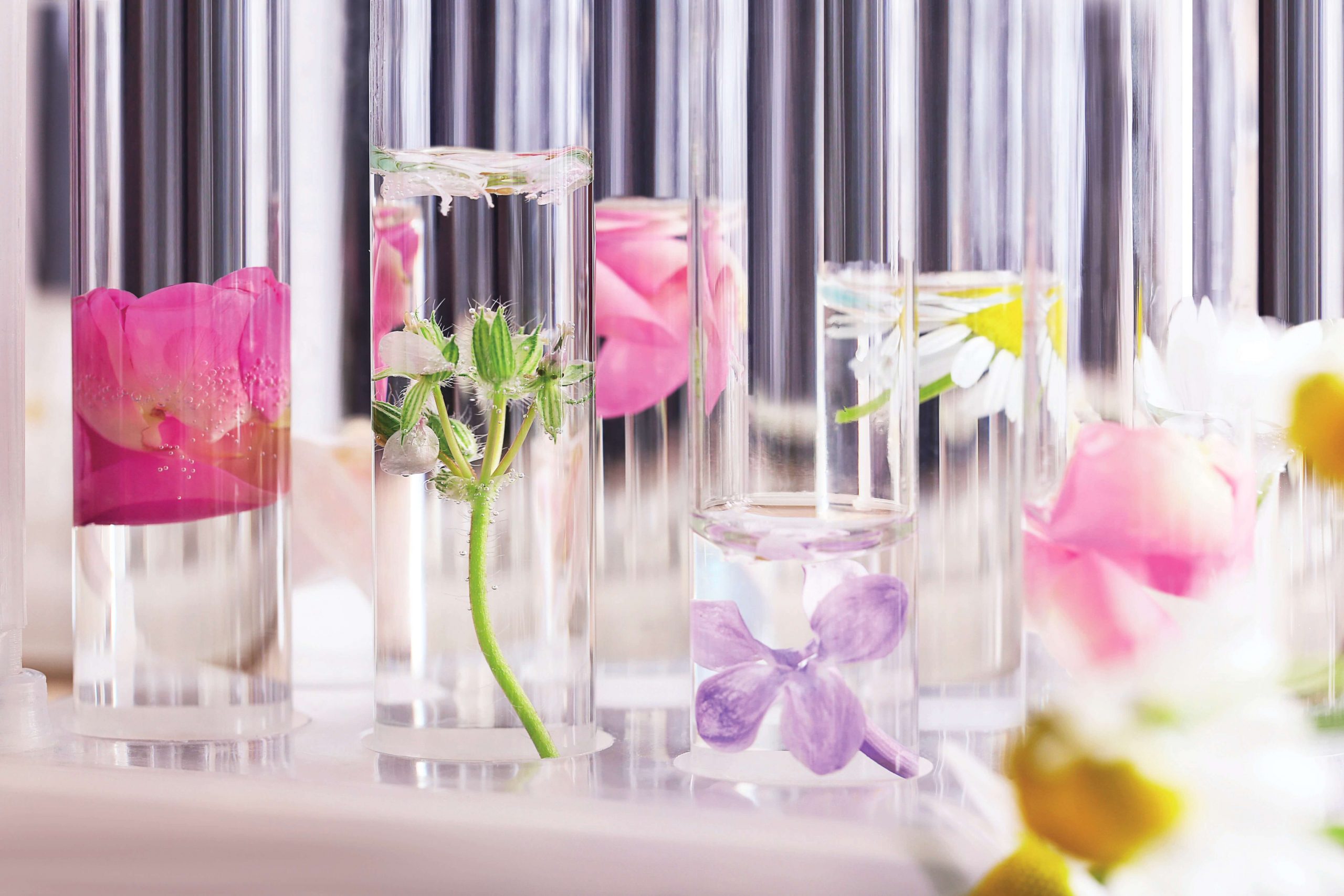 Filosofia-formulativa-scaled